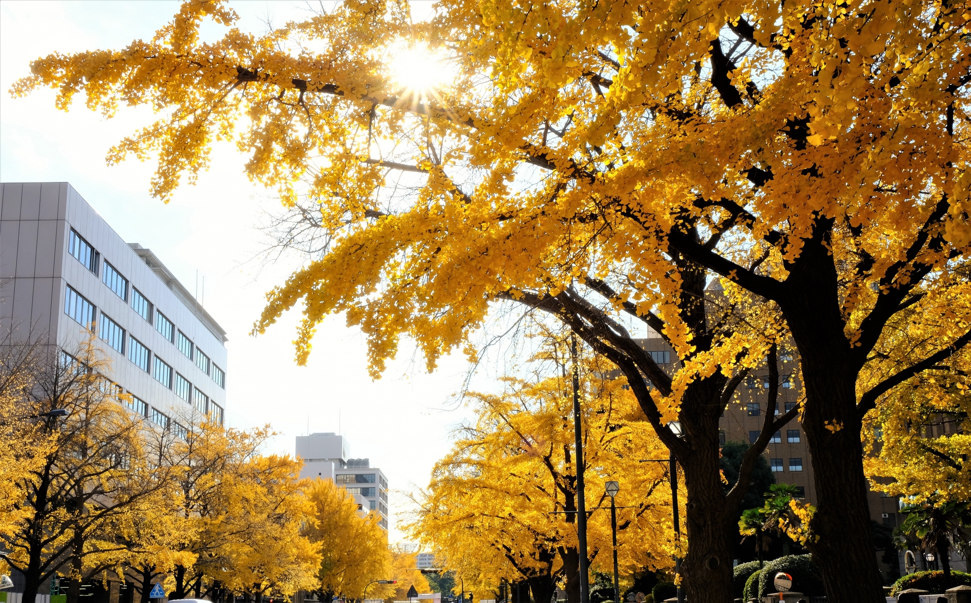 建設業許可新規申請‐行政に請求する証明書類-