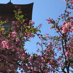 令和元年の建設業許可申請