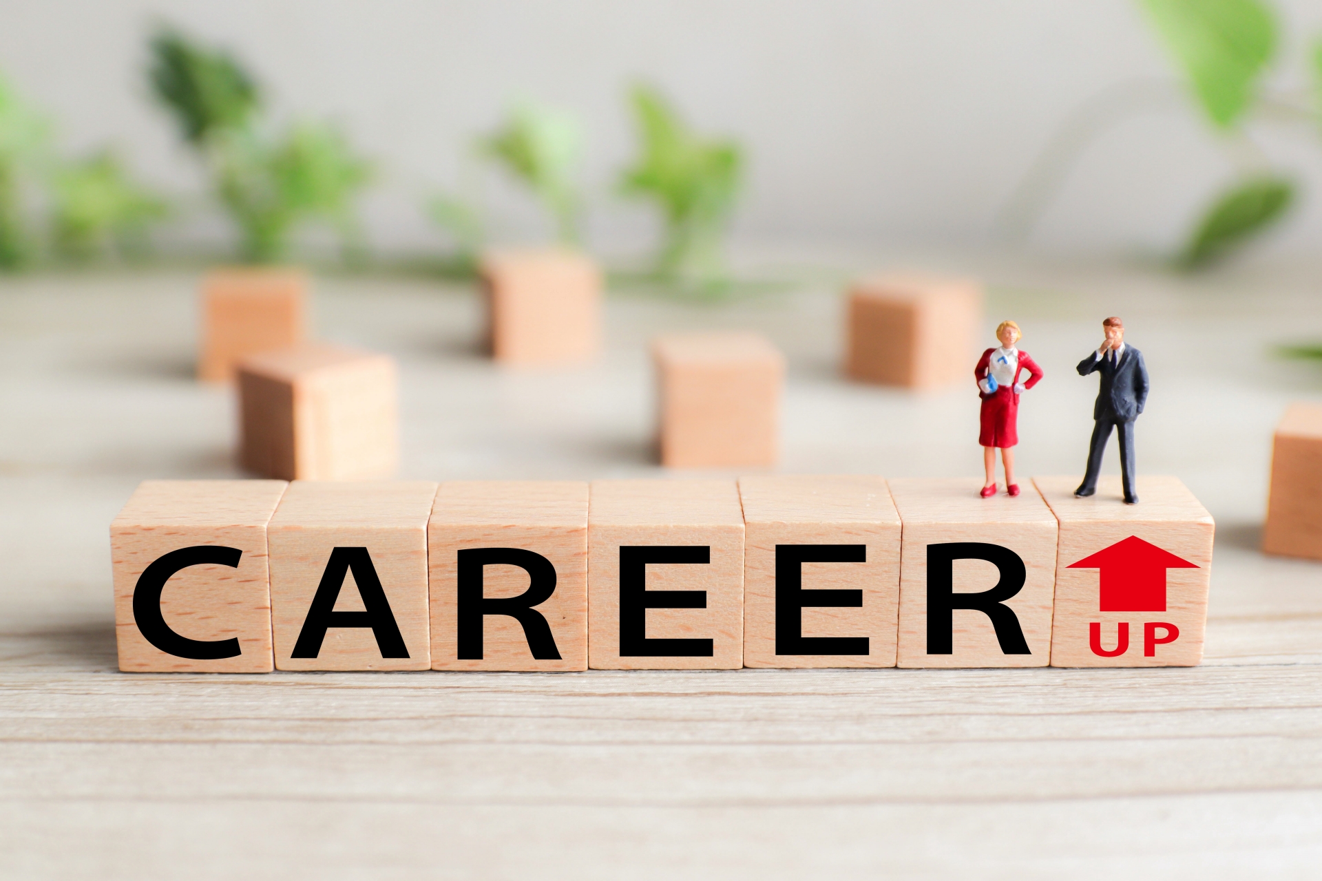 【2019年11月】建設キャリアアップシステム：事業者登録と14名様の技能者登録