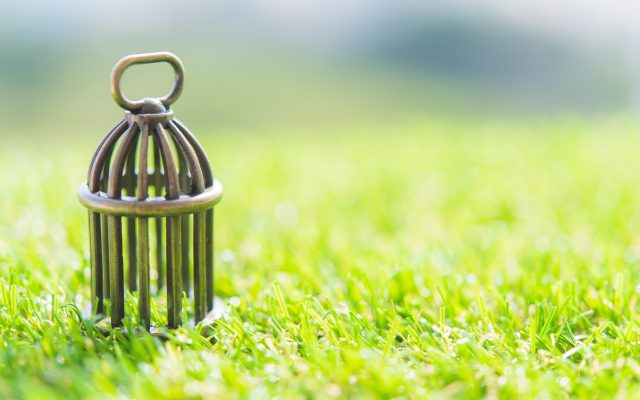 何が変わる？影響はある？改正建設業法、可決＆成立！