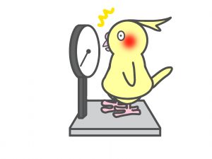 健康診断とお中元