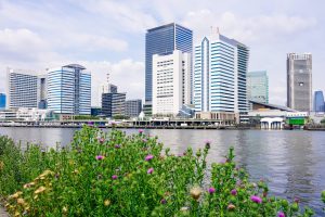 賃貸住宅管理業登録