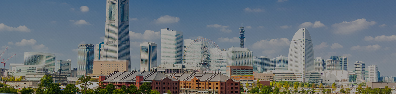 CPD・CPDS各種申請代行